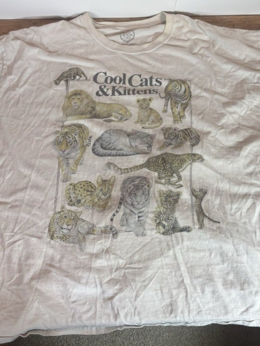Cool Cats & Kittens Graphic T-Shirt